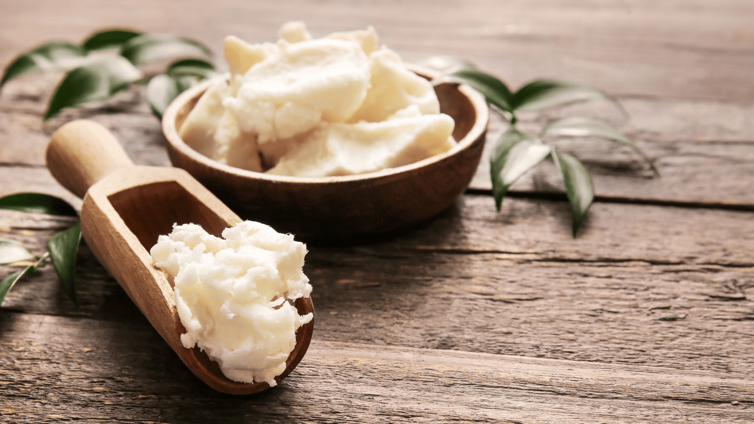 Skin Studies: Body Butters - The Grounded Edit